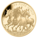 Daydream Ranch Resort Gold Coin